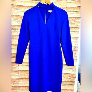 Calvin Klein women’s size 2 dress, long sleeve two holes